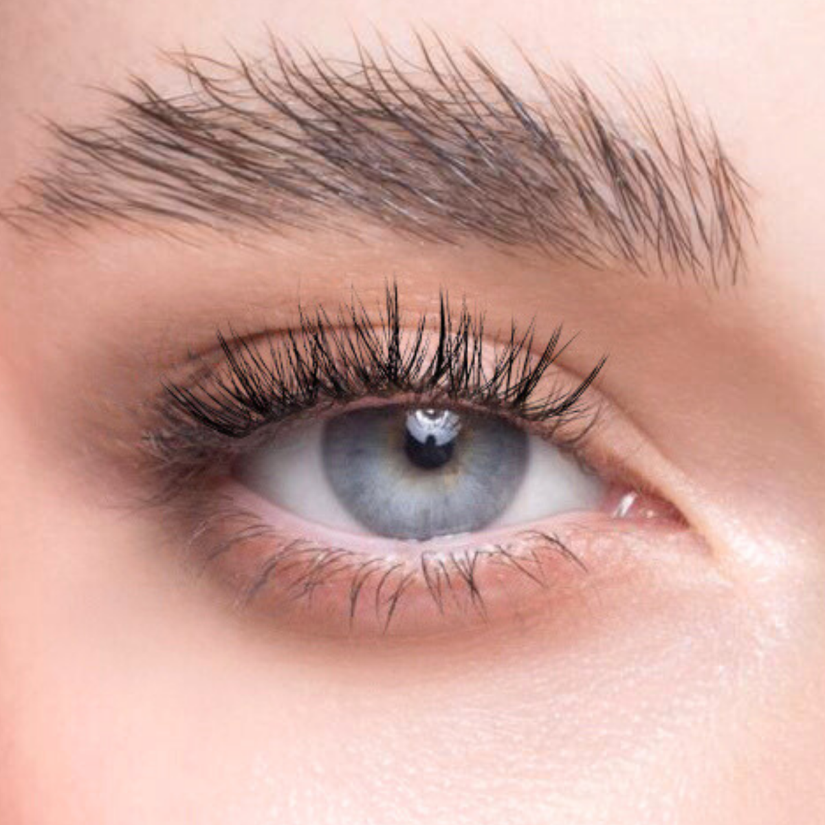 Dreamy Dozen – Fournis, Longs, Séduisants